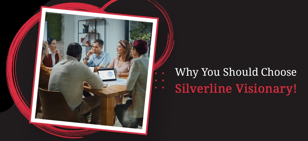 Silverline Visionary - Month 11 - Blog Banner